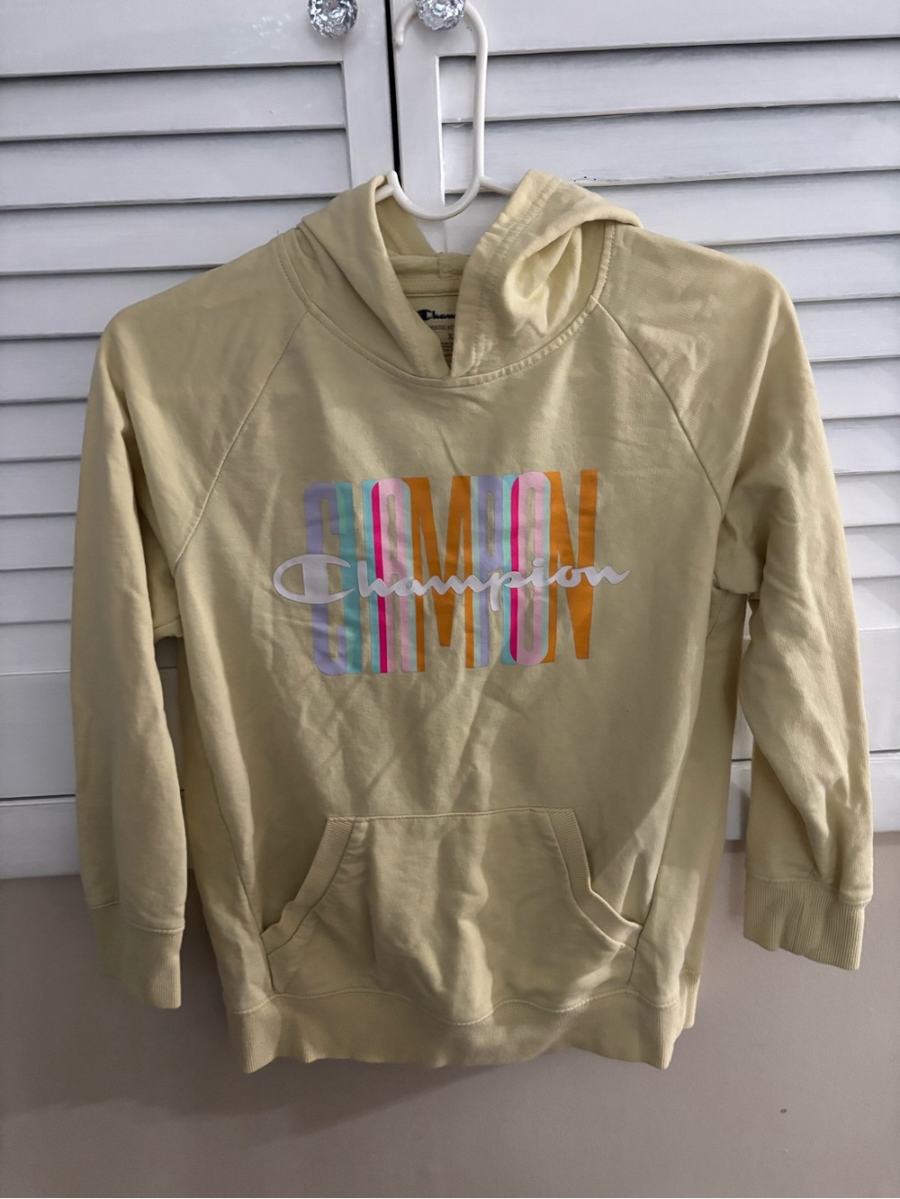 Youth Champion XL hoodie